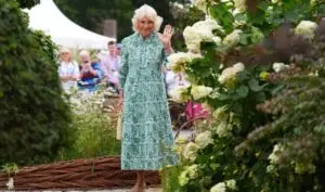 La reina Camilla busca la unidad de la familia real en su acercamiento al príncipe Harry