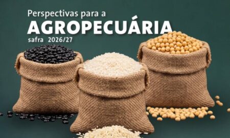 Safra de grãos 2026/27 deve atingir 366,6 milhões de toneladas. Projeção é da Conab