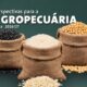 Safra de grãos 2026/27 deve atingir 366,6 milhões de toneladas. Projeção é da Conab