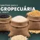 Safra de grãos 2026/27 deve atingir 366,6 milhões de toneladas. Projeção é da Conab