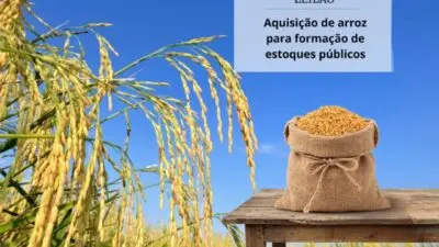 Conab realiza primeiro leilão de compra de arroz para formar estoques públicos