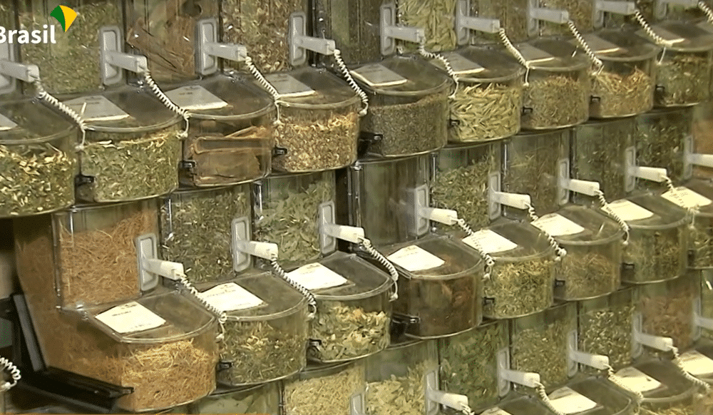 Anvisa divulga novas cartilhas para orientar sobre uso seguro de fitoterápicos e plantas medicinais