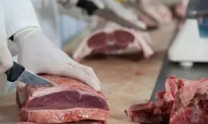 Açougueiro, carnes - Wavebreakmedia/ istockphoto.com