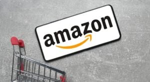 Amazon - Dmitriy Prayzel / Shutterstock.com