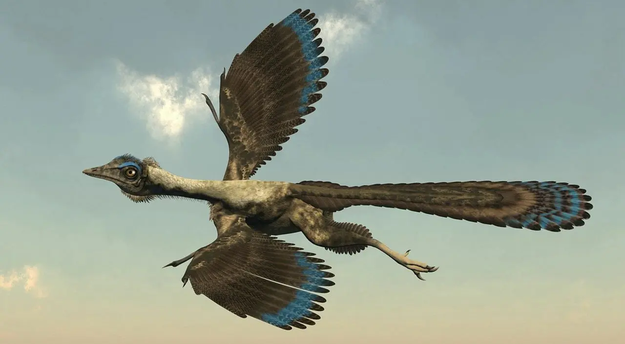 Archaeopteryx - Elenarts108/ Istockphoto.com