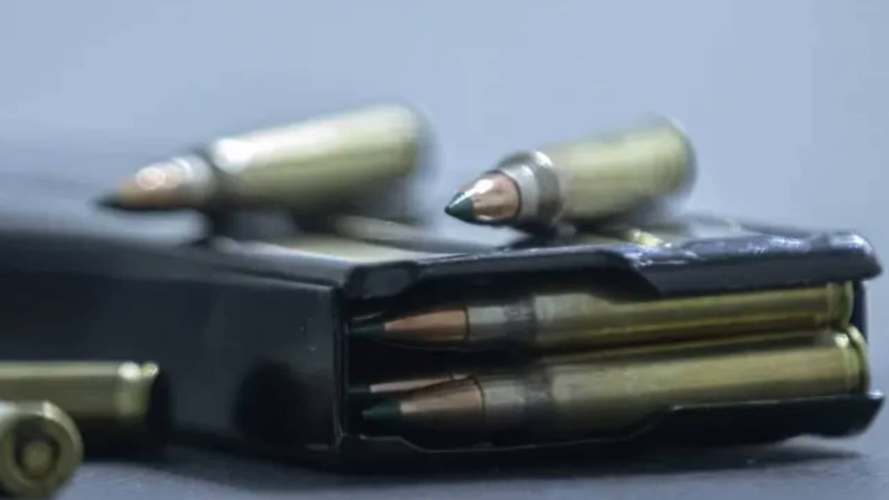 Arma de fogo - Joédson Alves/Agência Brasil
