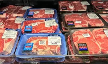Bandejas de carnes - Jonathan Weiss / Shutterstock.com