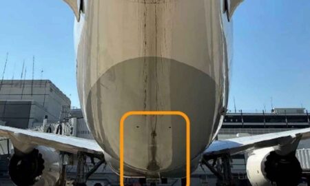 Boeing 787 - reprodução