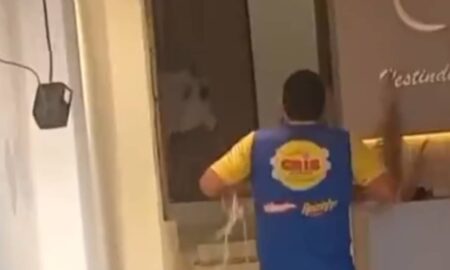 Boi invade loja de roupas e vendedor tenta laçar animal - Reprodução