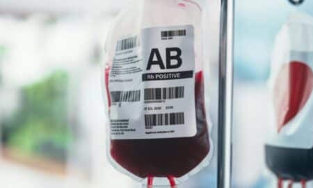 Bolsa, doação de sangue - Gorodenkoff/Shutterstock.com