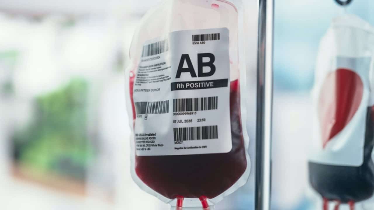 Bolsa, doação de sangue - Gorodenkoff/Shutterstock.com