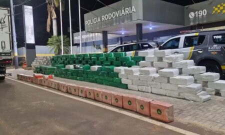 Carga de maconha totalizou 7,2 toneladas, apreendida pela Polícia Rodoviária - Reprodução/Polícia Rodoviária