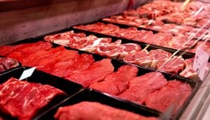 Carnes, açougue - RecCameraStock/ Shutterstock.com