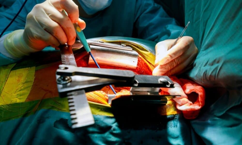 Japão realiza primeira cirurgia cardíaca com transplante de células iPS