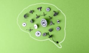 Desenho de cérebro, conceito de neurônios - SOLDATOOFF/shutterstock.com