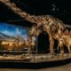 Dinossauro Diplodocus - Stock Holm/ shutterstock.com