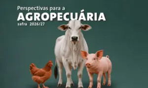 Produção brasileira de carnes deve ultrapassar 34 milhões de toneladas em 2026 e 2027