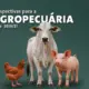 Produção brasileira de carnes deve ultrapassar 34 milhões de toneladas em 2026 e 2027