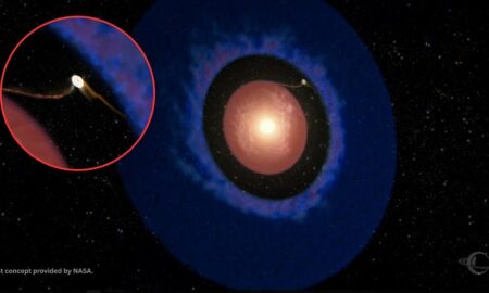 Elias 2-24 b - NASA