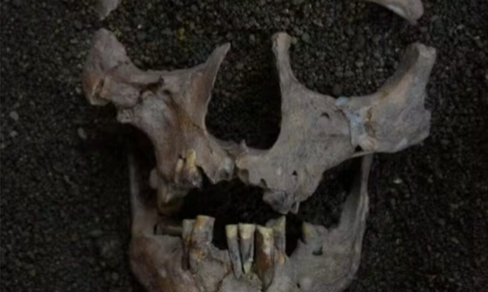 Vestígios em dentes antigos provam que consumo de drogas pela humanidade tem 25 mil anos