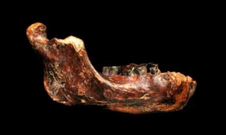 Fósseis encontrados na China revelam hábitos de vida dos denisovanos