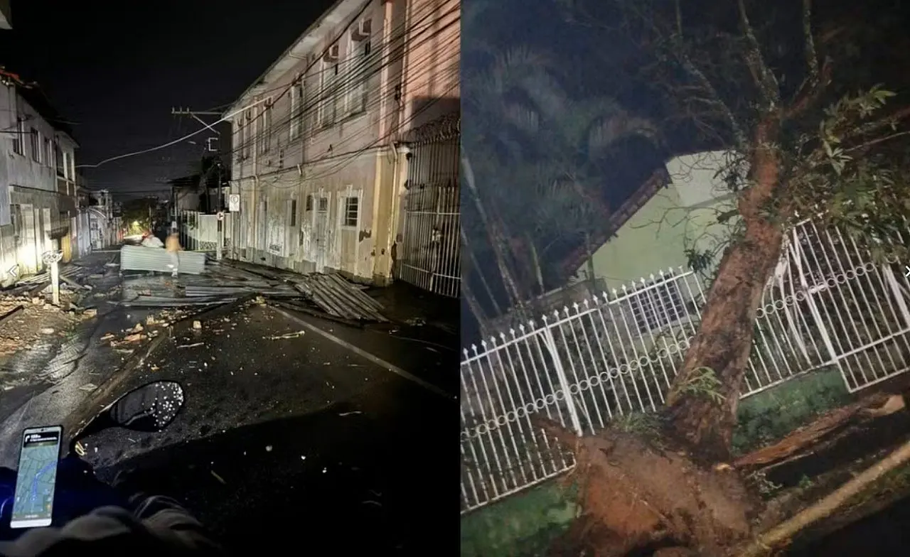 galhos e árvores em vários pontos de Varginha - Internet