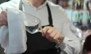 Garçom - AlpakaVideo/Shutterstock.com