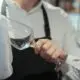Garçom - AlpakaVideo/Shutterstock.com