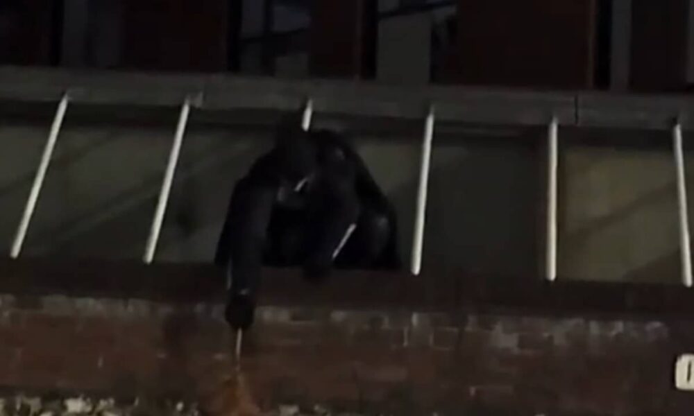Homem vestido de Batman recupera bolsa furtada em Norwich