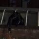 Homem vestido de Batman - Reprodução/Internet
