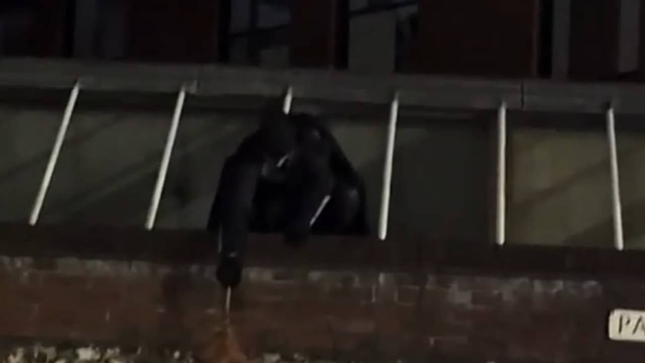 Homem vestido de Batman - Reprodução/Internet