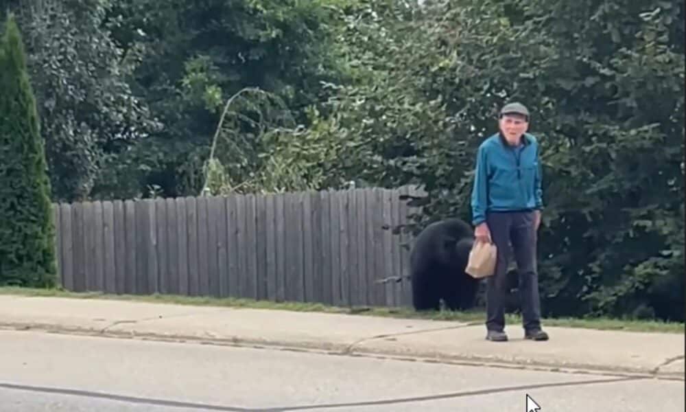 Passersby warn senior followed by bear in British Columbia