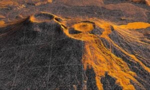 imagens de dados do NISAR - Reprodução/ NASA