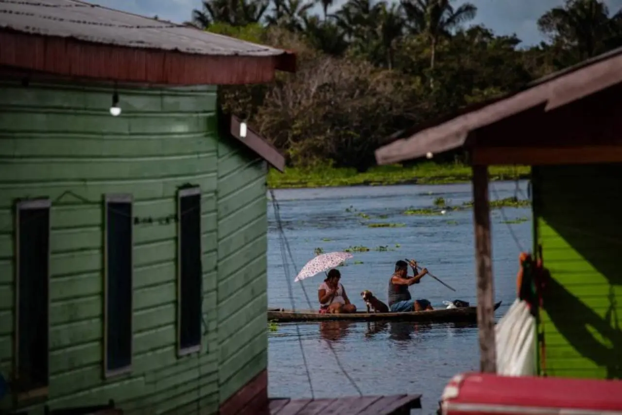 Recursos vão atender linhas destinadas aos segmentos mais vulneráveis da agricultura familiar - Foto: Raphael Alves/Amazônia Real