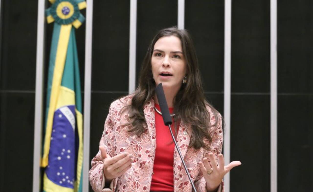 Maria Arraes: medida concretiza o princípio da proteção integral e da prioridade absoluta assegurado pela Constituição - Foto: Kayo Magalhães / Câmara dos Deputados
