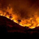 Incêndio - Rawpixel.com/ shutterstock.com