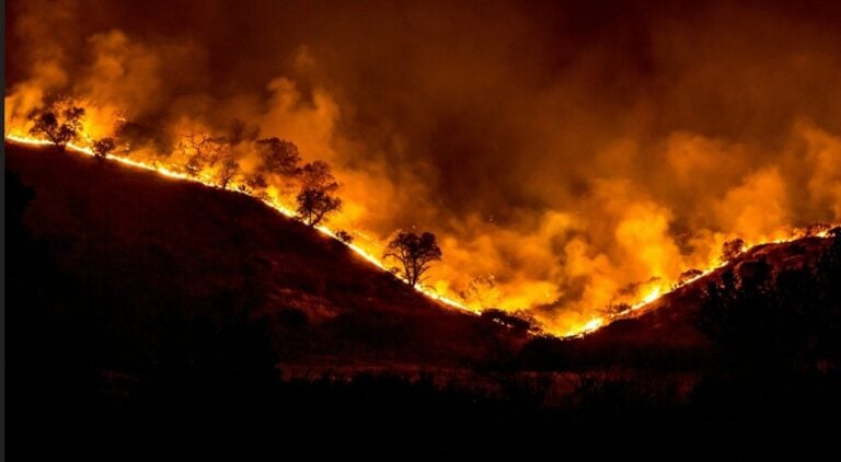 Incêndio - Rawpixel.com/ shutterstock.com
