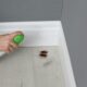 Inseticida e baratas - New Africa/Shutterstock.com