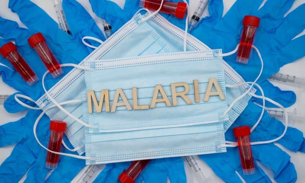 Cientistas da USP desenvolvem composto que elimina a malária sem gerar resistência