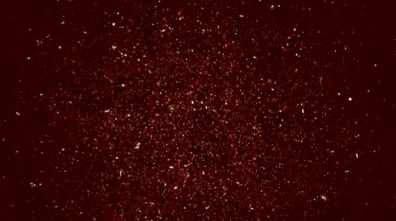 MeerKAT rastreia emissões de rádio de hidrogênio - Reprodução/The Astrophysical Journal Letters/Sourabh Paul
