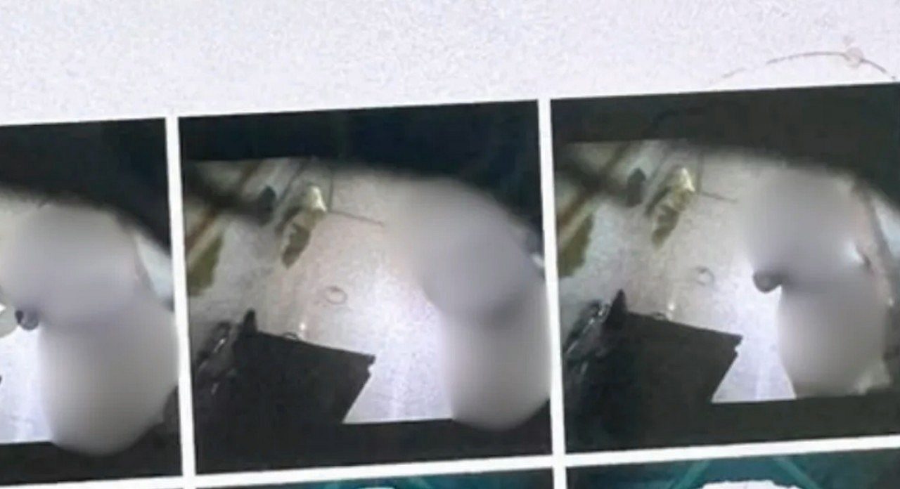 Mulher encontrou as filmagens na galera do celular do patrão ao pagar por uma marmita. — Arquivo pessoal
