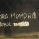 Muro do Pq. São Jorge - Reprodução/TV Alambrado Alvinegro