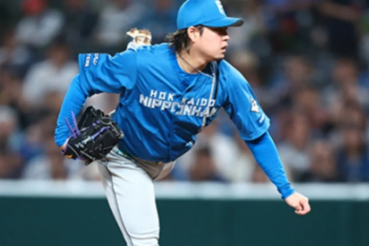 Nippon Ham - X