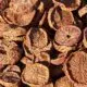 Noz de areca - Real People Images/Shutterstock.com