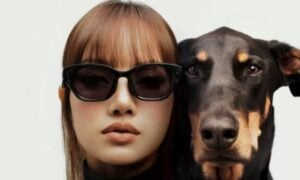 óculos inteligentes - Divulgação - Meta