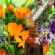 Óleo essencial de flores e ervas - Tatevosian Yana / shutterstock.com