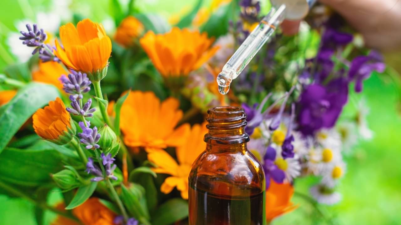 Óleo essencial de flores e ervas - Tatevosian Yana / shutterstock.com