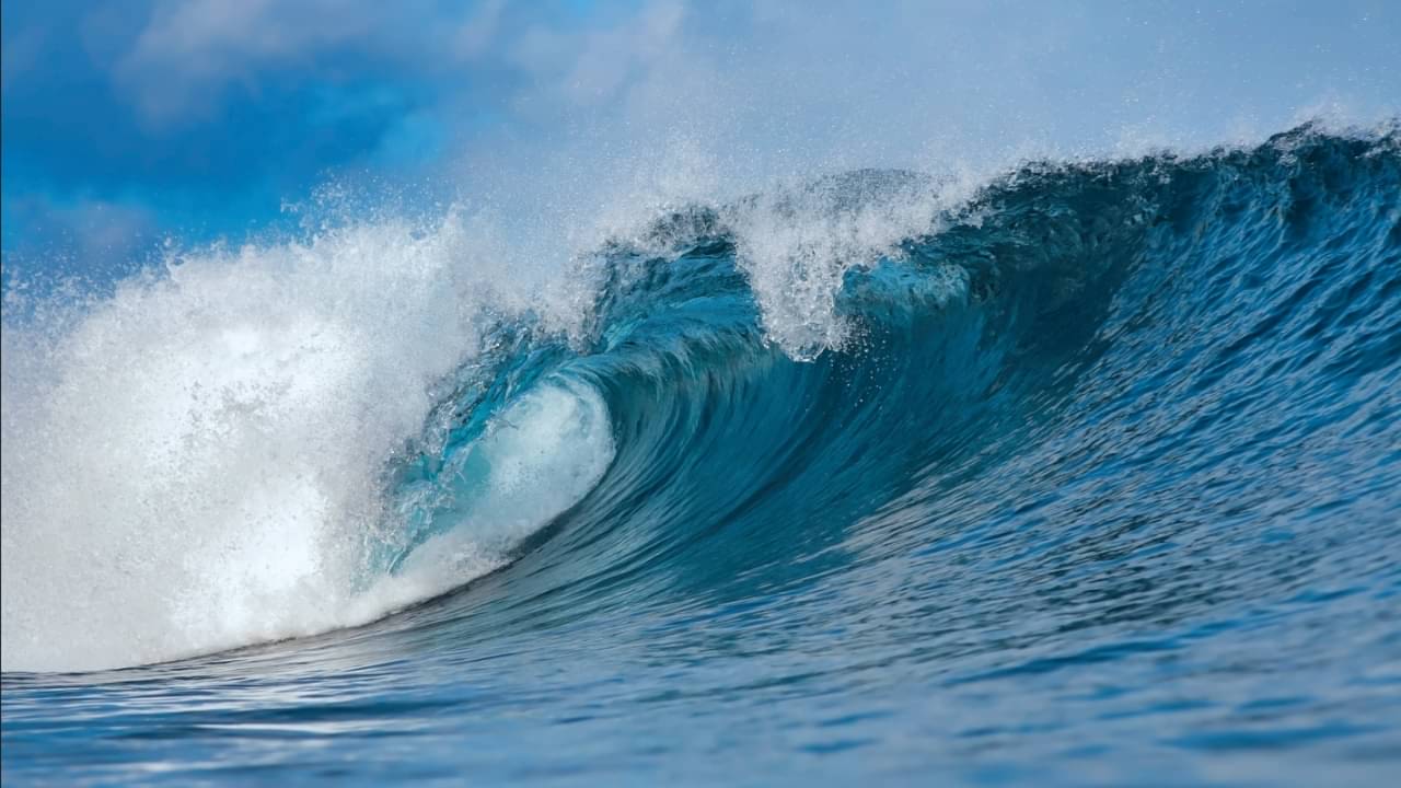 Onda, mar - truphotovideo / shutterstock.com