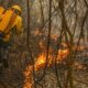 Inc&ecirc;ndio no Pantanal em 2024 - Foto: Arquivo /Ag&ecirc;ncia Brasil