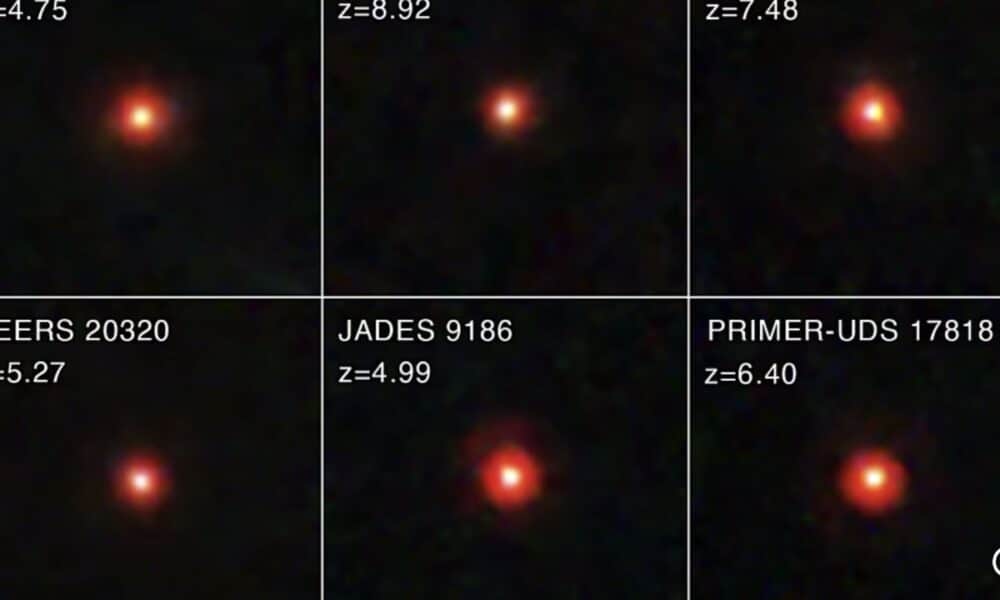 James Webb Little Red Dots are overfed supermassive black holes